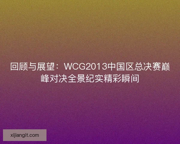回顾与展望：WCG2013中国区总决赛巅峰对决全景纪实精彩瞬间