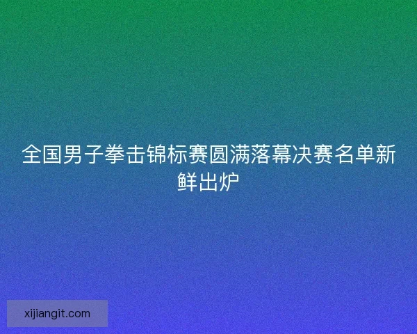 全国男子拳击锦标赛圆满落幕决赛名单新鲜出炉